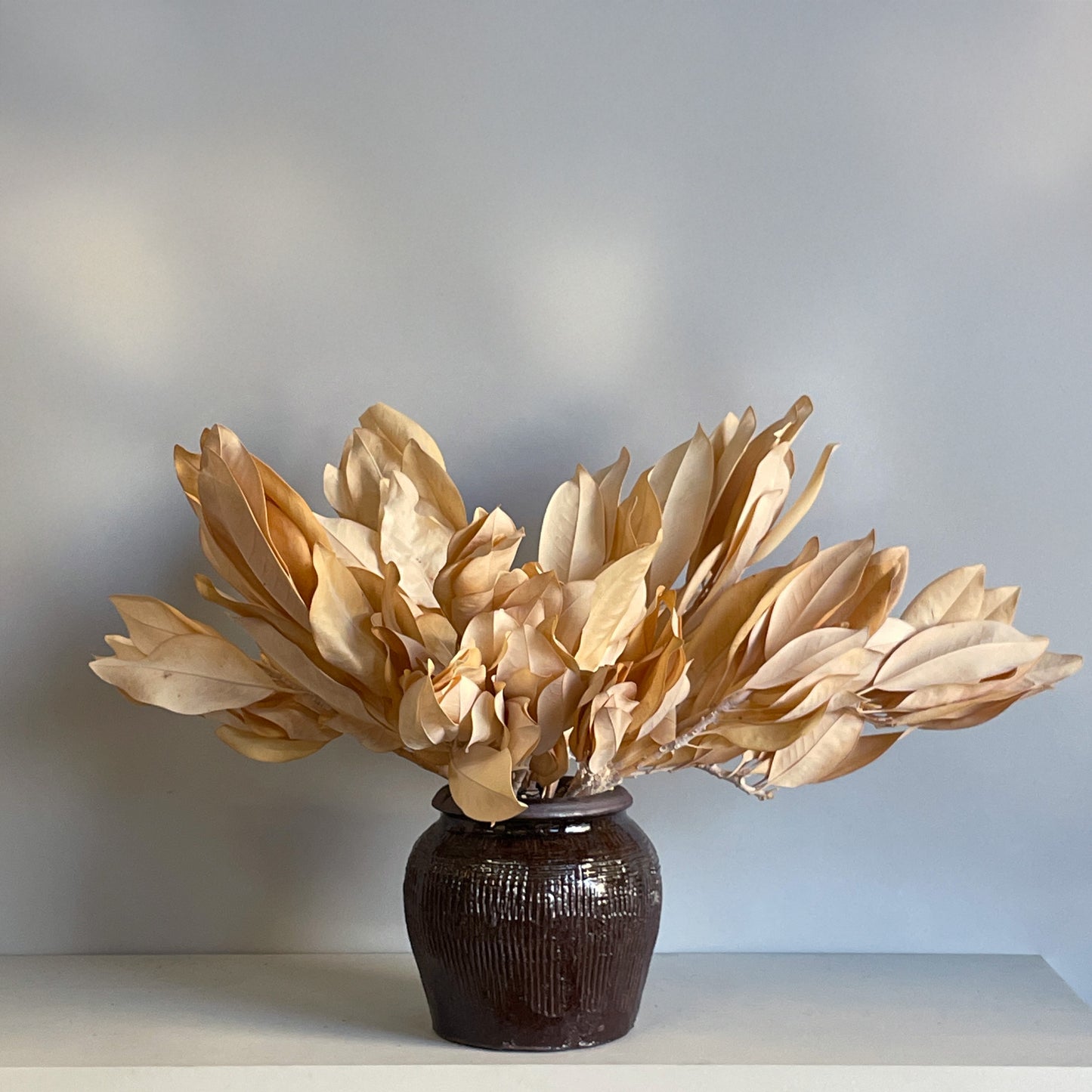 A preserved arrangement of golden magnolia leaves in a rustic brown ceramic glazed jar, highlighting the warm, rich tones of the magnolia.