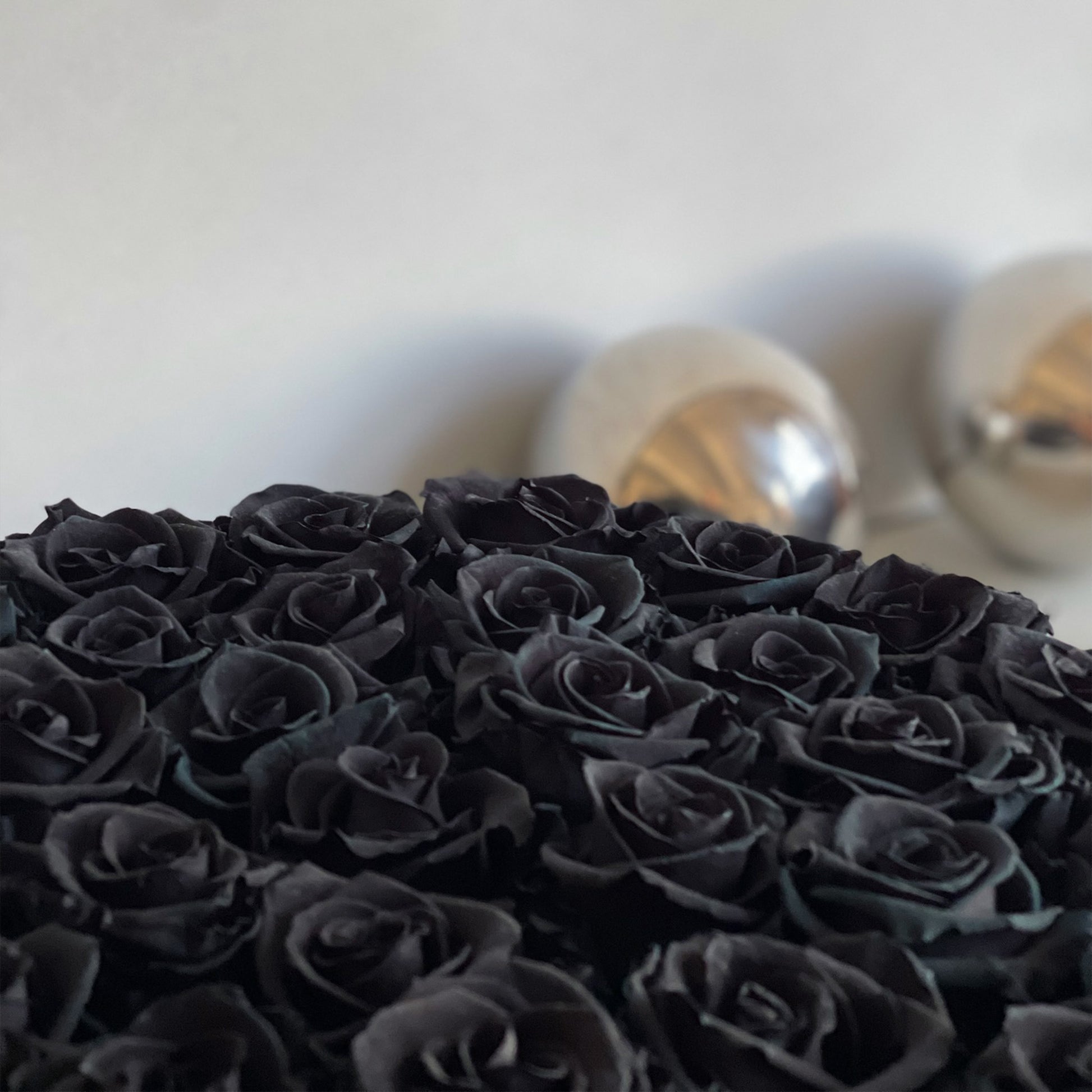 A closer view of the preserved black roses, arranged in a full, symmetrical display in the Black Rose Serene, perfect for dramatic home decor or special gifting.