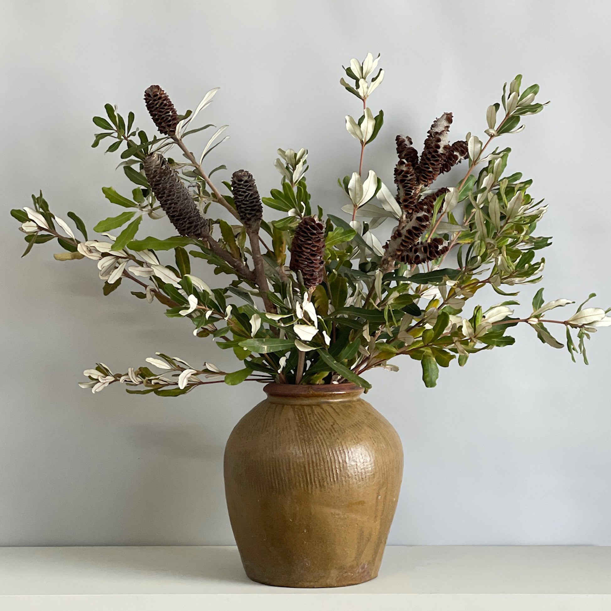 Front-angle view showcasing the height, volume, and organic flow of the integrifolia arrangement.