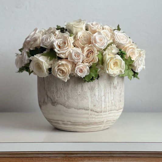  Ivy Rose preserved floral arrangement with ivory, cream, and blush roses in a whitewashed wood vessel.