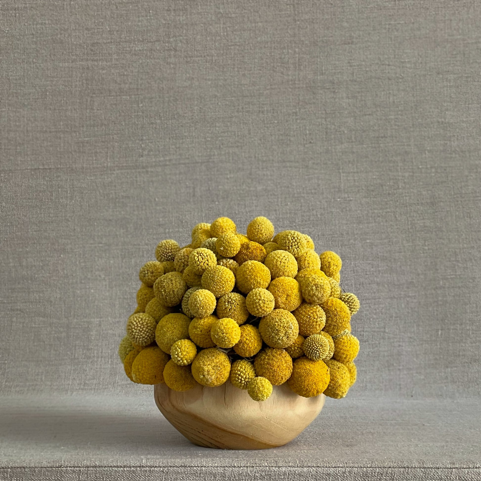 Bright preserved Craspedia blooms in a teakwood bowl, featuring vibrant yellow spheres for a playful, modern floral display.