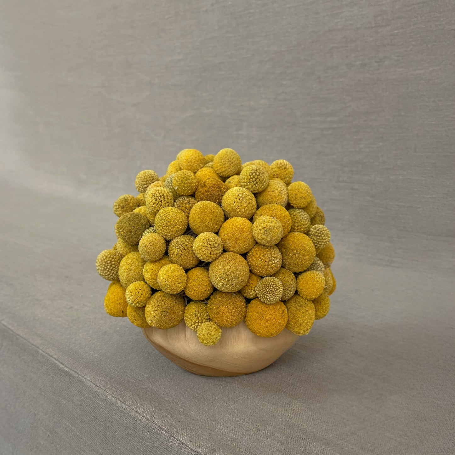 Bright preserved Craspedia blooms in a teakwood bowl, featuring vibrant yellow spheres for a playful, modern floral display.