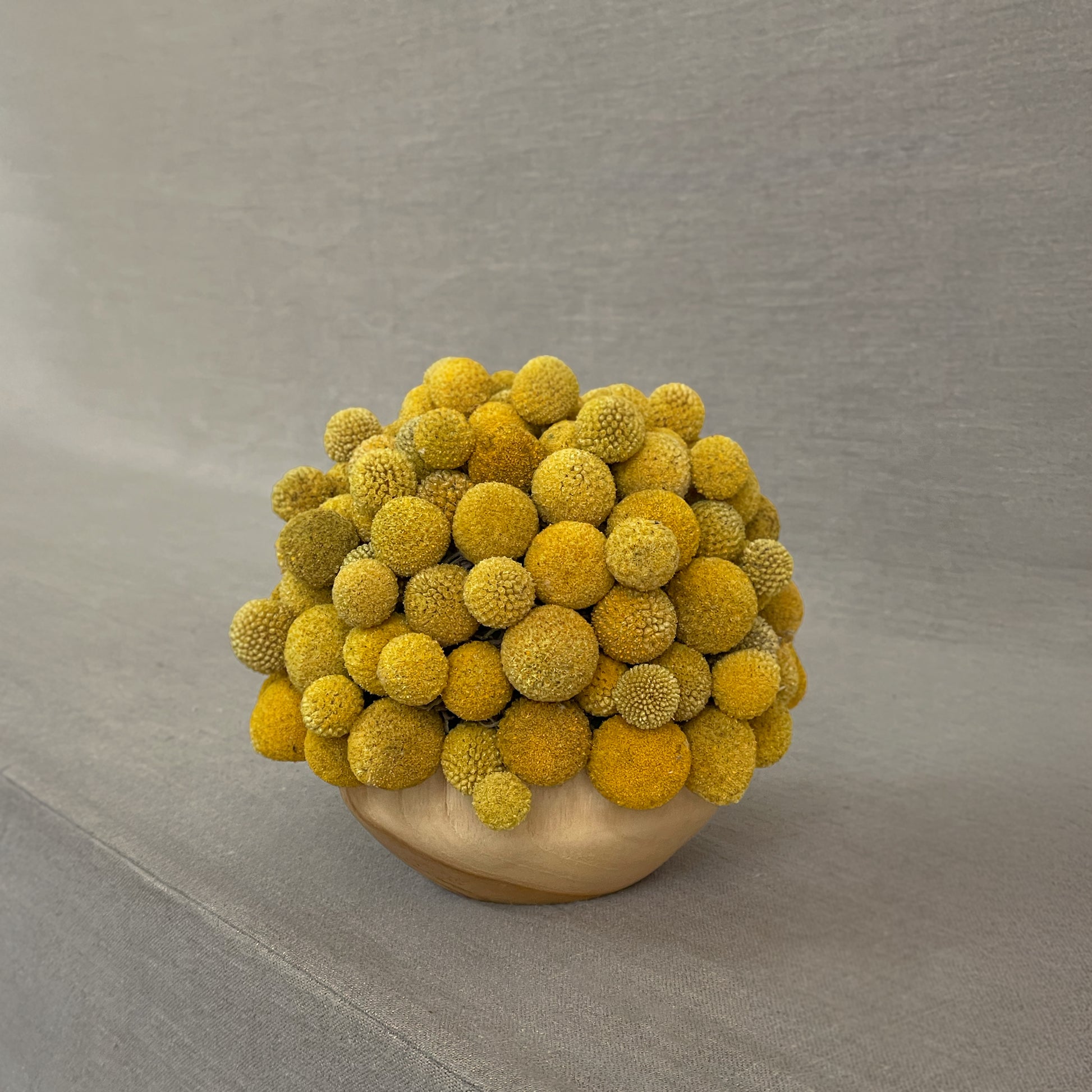 Bright preserved Craspedia blooms in a teakwood bowl, featuring vibrant yellow spheres for a playful, modern floral display.