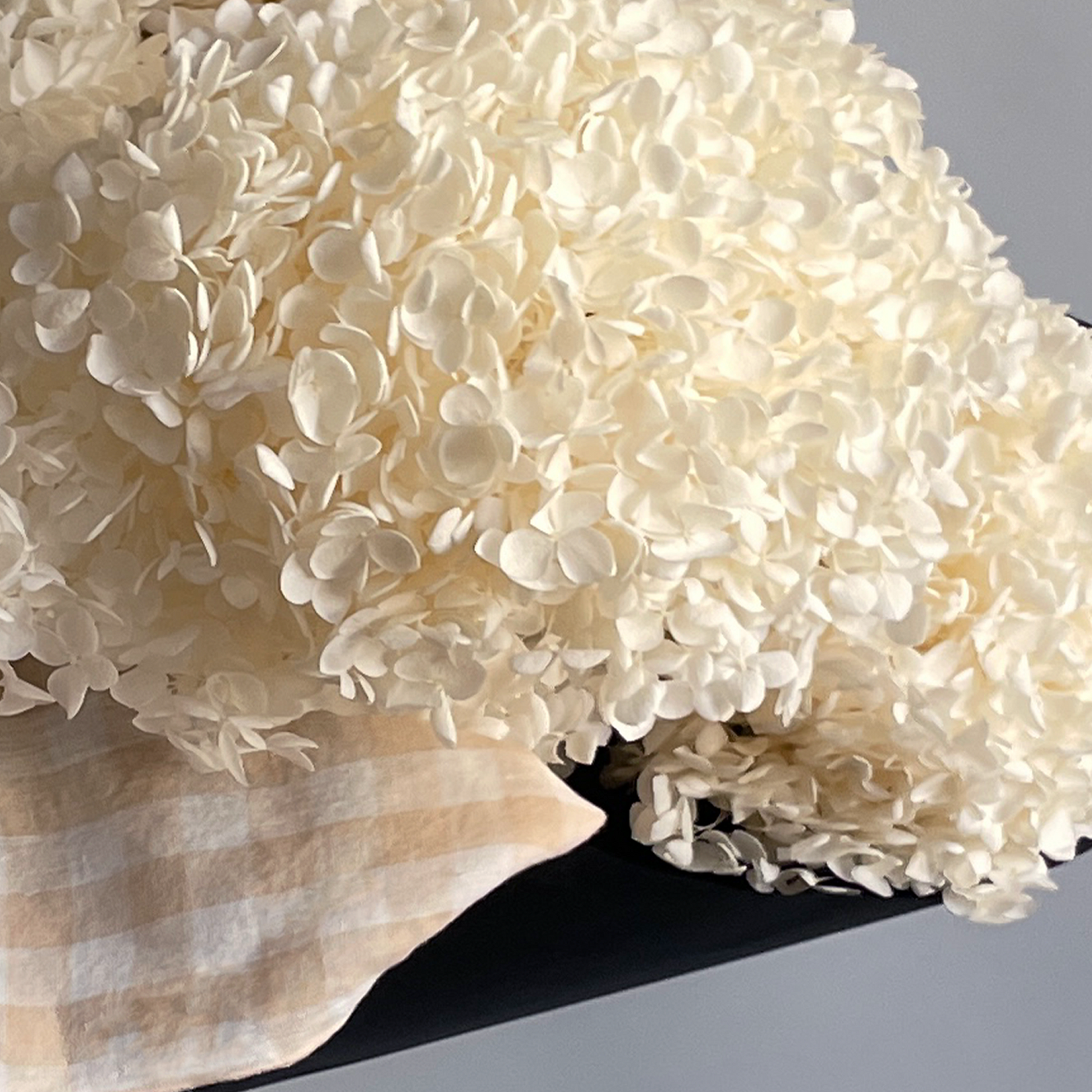 Close-up of preserved white hydrangea branches bundled and wrapped in furoshiki cloth, highlighting the delicate blooms.