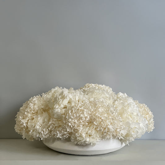 Front view of White Hydrangea Serene arrangement featuring preserved ivory hydrangeas in a modern ceramic bowl.