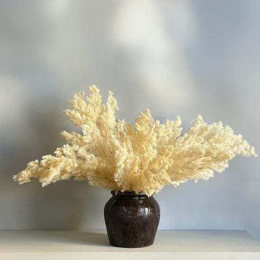 A preserved arrangement of white Ming fern in a handcrafted ceramic ginger jar, showcasing the delicate, feathery texture of the fern leaves.