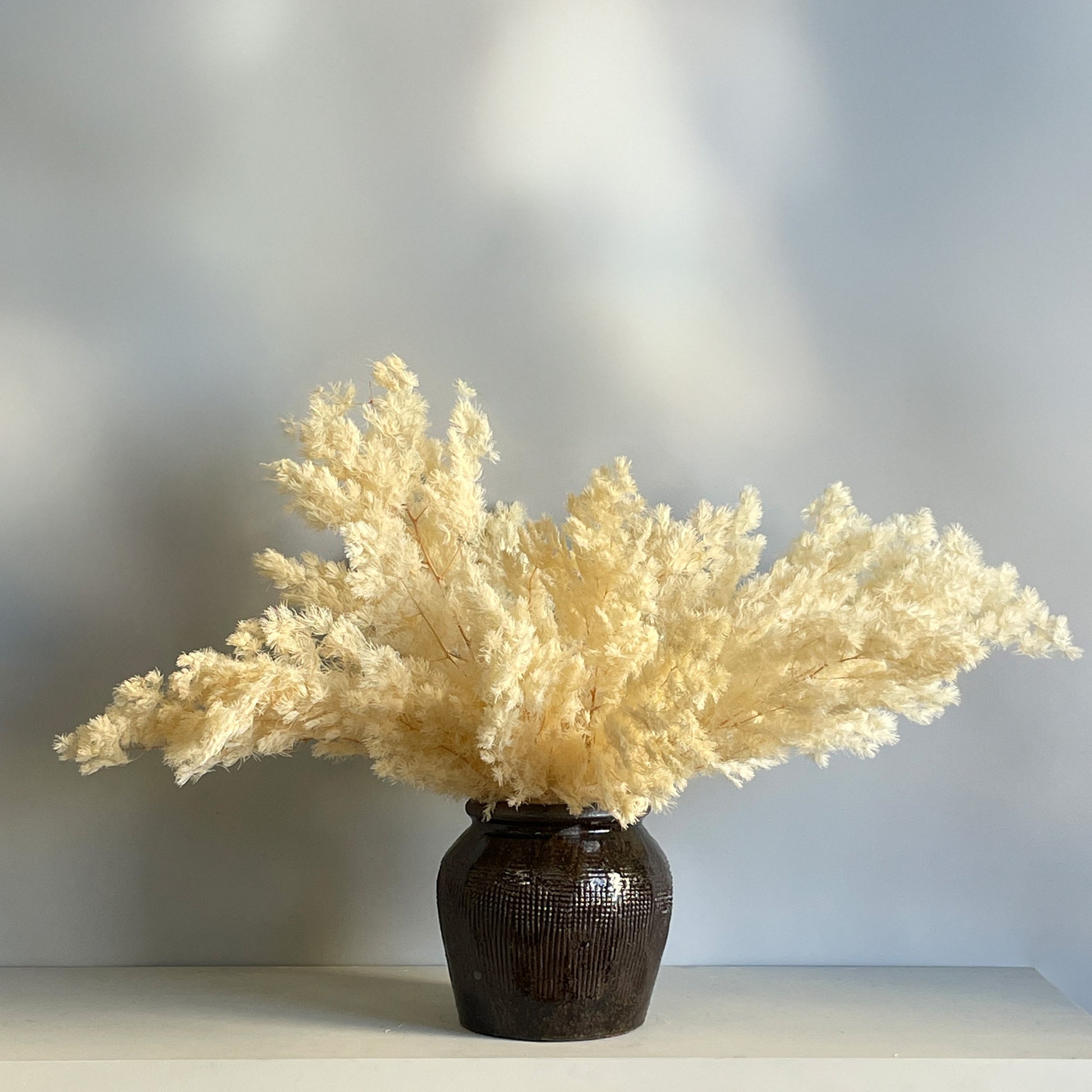 A preserved arrangement of white Ming fern in a handcrafted ceramic glazed jar, showcasing the delicate, feathery texture of the fern leaves.