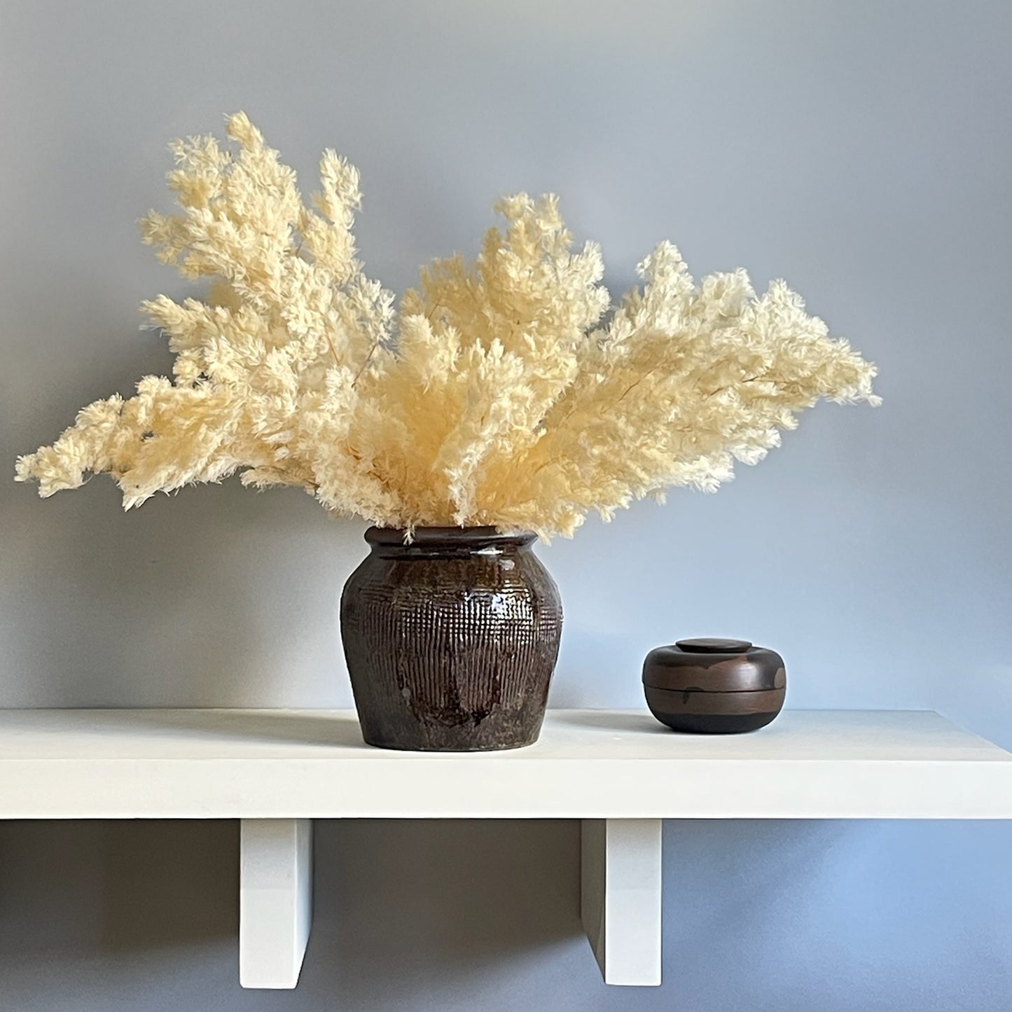 Side view of the preserved white Ming fern in a brown ceramic glazed jar, emphasizing the full-bodied and airy foliage of the botanical design.